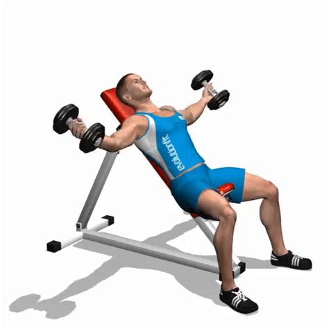 How to perform Incline Dumbbell Flyes - Chest Exercises