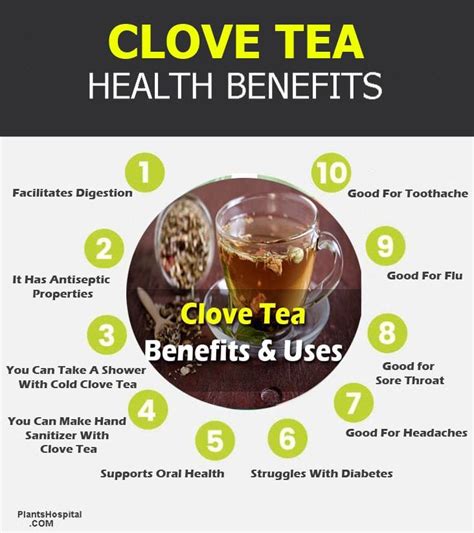 12+ Evidence-Based Health Benefits Of Clove Tea: Uses & Warnings