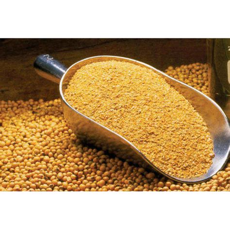 Organic Protein Soybean Meal at Best Price in Ahmedabad | Herika Import Export