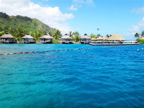 Moorea stock photo. Image of departure, coral, outdoors - 64204280