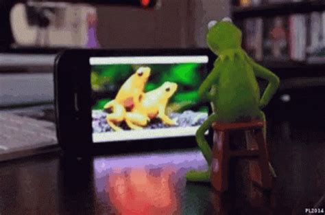 Sesame Street Kermit The Frog GIF – Sesame Street Kermit The Frog ...