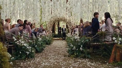 How Much Did The Twilight: Breaking Dawn Wedding Cost?