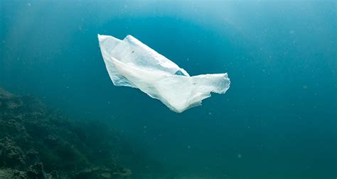 'Biodegradable' plastic bags often don’t break down