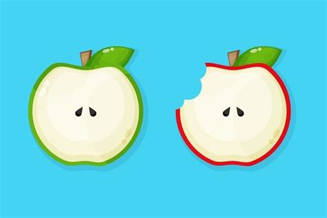 Apple Slice Vector Art, Icons, and Graphics for Free Download