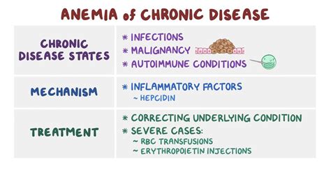 Anemia of chronic disease: Video, Anatomy & Definition | Osmosis