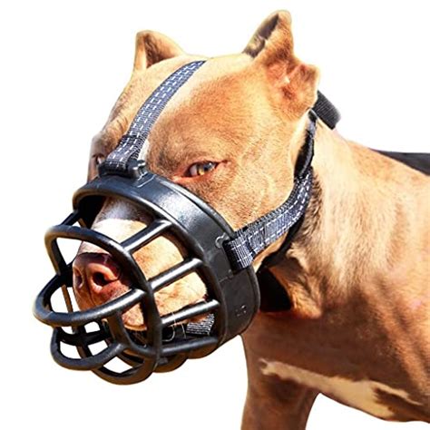 Best Muzzle For A Pitbull