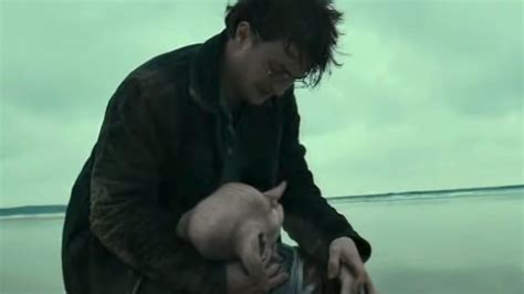 'Harry Potter' Fans Asked To Stop Destroying Beach To Honor Dobby