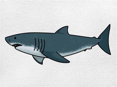 Easy Shark Drawing - HelloArtsy