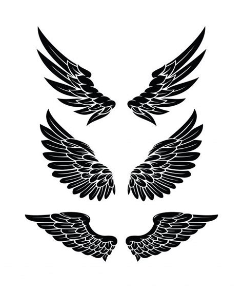 Wings Collection Set Premium Vector