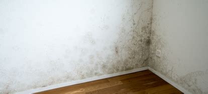 How to Remove Mildew from Painted Walls | DoItYourself.com