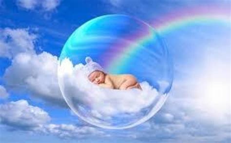 Life before birth explained - Nexus Newsfeed