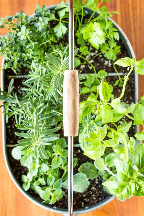 10-Minute Easy DIY Indoor Herb Planter – Unsophisticook