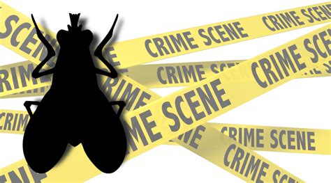 Forensic Management (Criminalistica, Ciencias Forenses y Jurídicas): Forensic Entomology