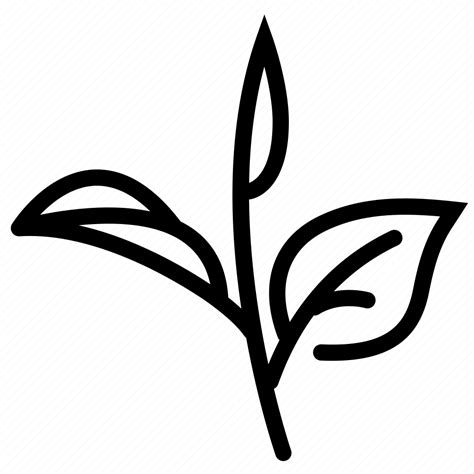 Grow, harvest, herb, leaves, tea, tea leaf, tea leaves icon - Download on Iconfinder