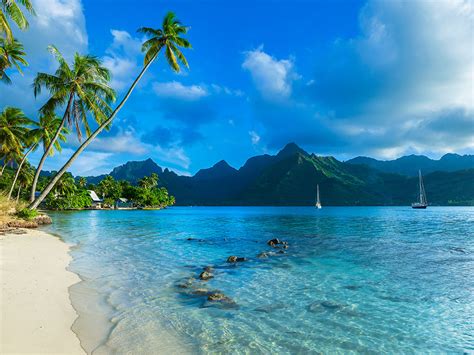 Top 5 Moorea Beaches: What are the best beaches in Moorea?