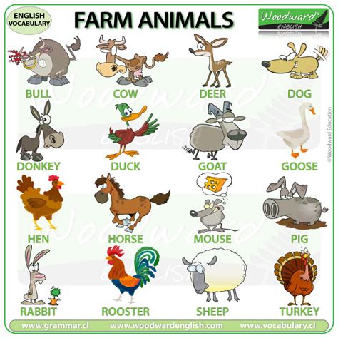 Farm Animals - English Vocabulary - Learn the names of farm animals in English