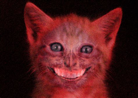 Image - Smilecat.jpg – Creepypasta Wiki