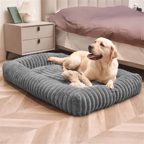 9 Best Chew Proof Dog Beds updated for February 2024