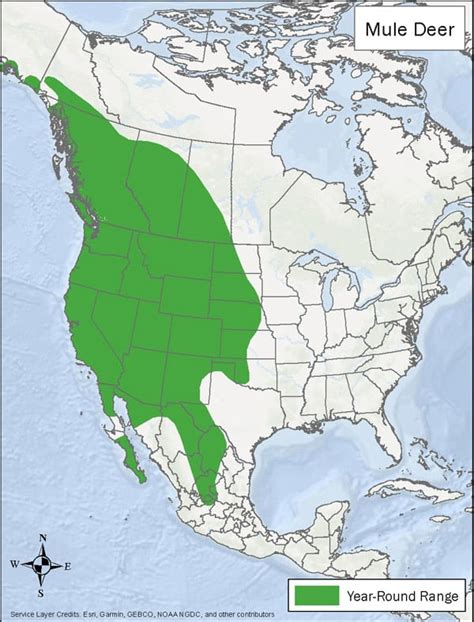 Mule Deer Habitat & Management Information - LandPKS