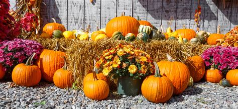 Fall Harvest Display Free Stock Photo - Public Domain Pictures