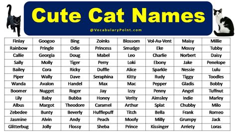 Cute Dog And Cat Names - Infoupdate.org