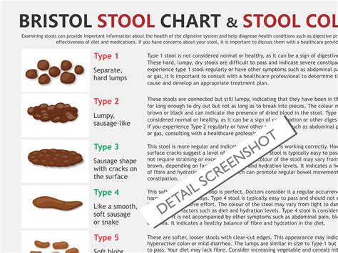 Bristol Stool Chart, Digital Download PDF, Stool Health, Healthy Poop, Pooping Problems, Hard ...