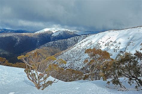 "Snowy Mountains Views- Victorian Alps National Park ,Victoria Australia" by Philip Johnson ...