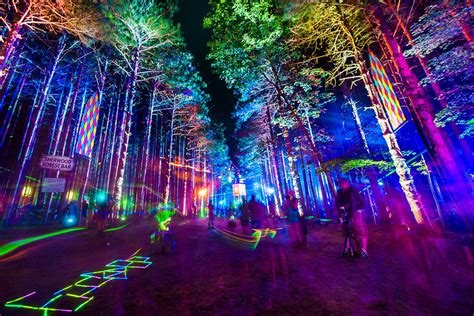 Electric Forest | Electric forest festival, Summer music festivals, Electronic music festival