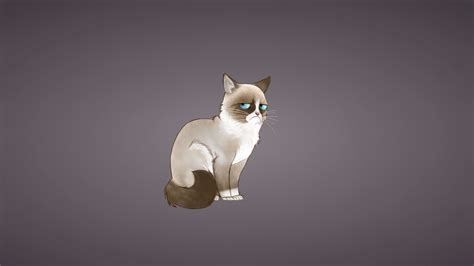 SIamese Cat Wallpaper (66+ images)