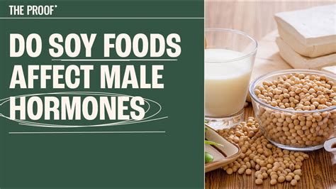 Does Soy Milk Affect Estrogen Levels at Timothy Gerrish blog