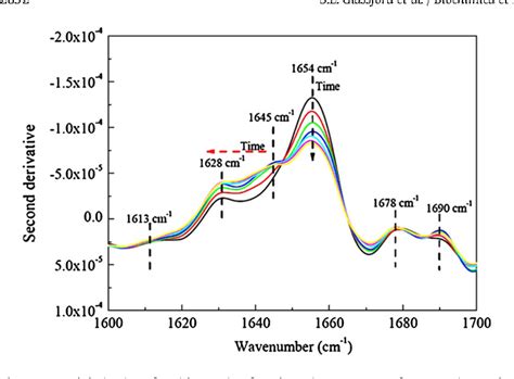 Figure 7 from Recent applications of ATR FTIR spectroscopy and imaging to proteins. | Semantic ...