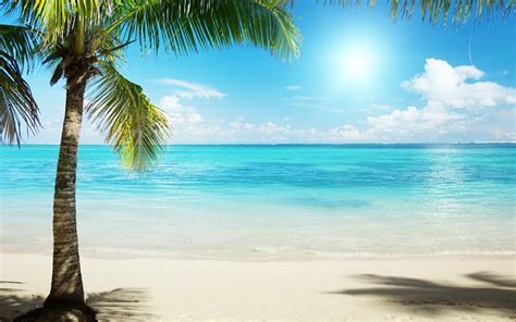 Tropical Beach HD Desktop Wallpaper - WallpaperSafari