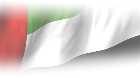 Download Free Uae Flag Png - Uae 45th National Day Background | Transparent PNG Download | SeekPNG