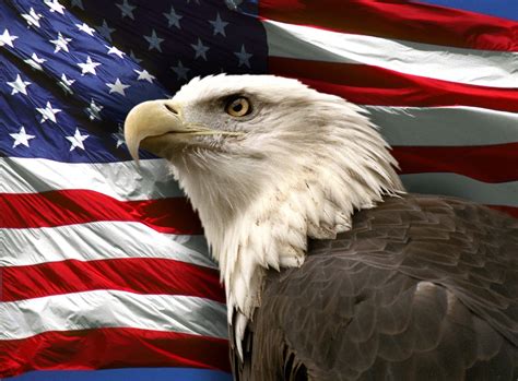 American Flag with Eagle Wallpaper - WallpaperSafari