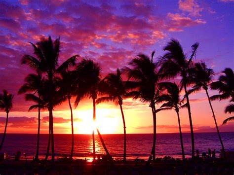 🔥 [110+] Hawaii Sunset Wallpapers | WallpaperSafari