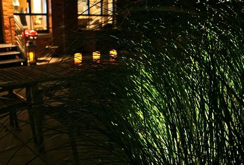 GreenZone Landscape Design: LED Lighting is Perfect for Small Urban Gardens