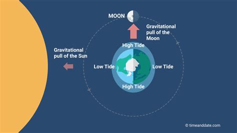 The Moon Causes Tides on Earth