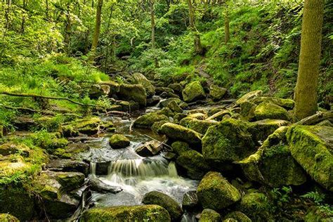 Waterfalls and Woodlands Photography Walk - Lets Go Peak District