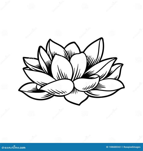 Illustration of Lotus Japanese Tradition Style Stock Illustration - Illustration of flora ...