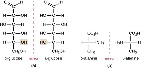 Organic Molecules | Microbiology