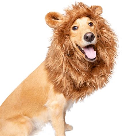 Lion Mane Dog Costume for Medium & Big Dogs. – Pet Krewe