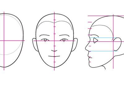 Human Anatomy Fundamentals: Basics of the Face | Envato Tuts+