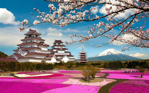 Download Fog shrouded temples across a rocky landscape in Japan ...