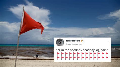 what is Red flags Emoji on Twitter ? Meme has celebs warning signs