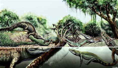 Two Prehistoric Crocodile Species Discovered in Venezuela | Paleontology | Sci-News.com