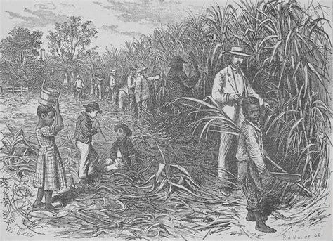 THE EVOLUTION OF THE SLAVE COMMUNITY — Evergreen Plantation