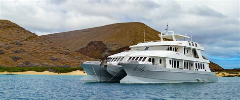 The best Galapagos cruises to discover the Islands, chosen by our team