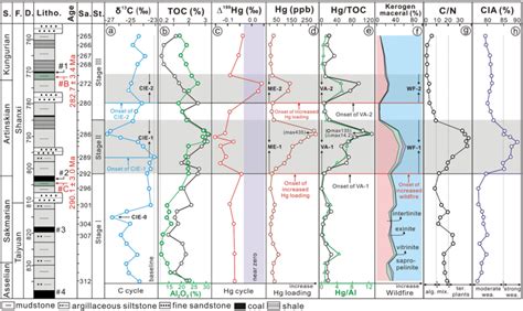 Results of organic carbon isotope composition (δ 13 C org , ‰), total... | Download Scientific ...