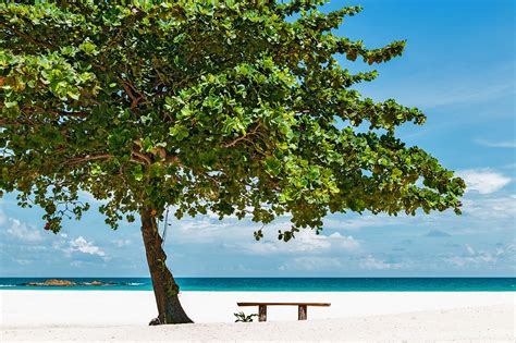 10 Best Beaches in Bintan - Which Bintan Beach is Right for You? - Go ...