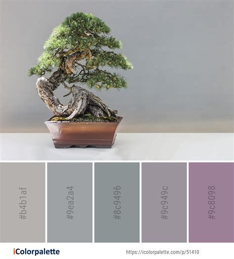 Color Palette Ideas from Bonsai Plant Tree Image | iColorpalette